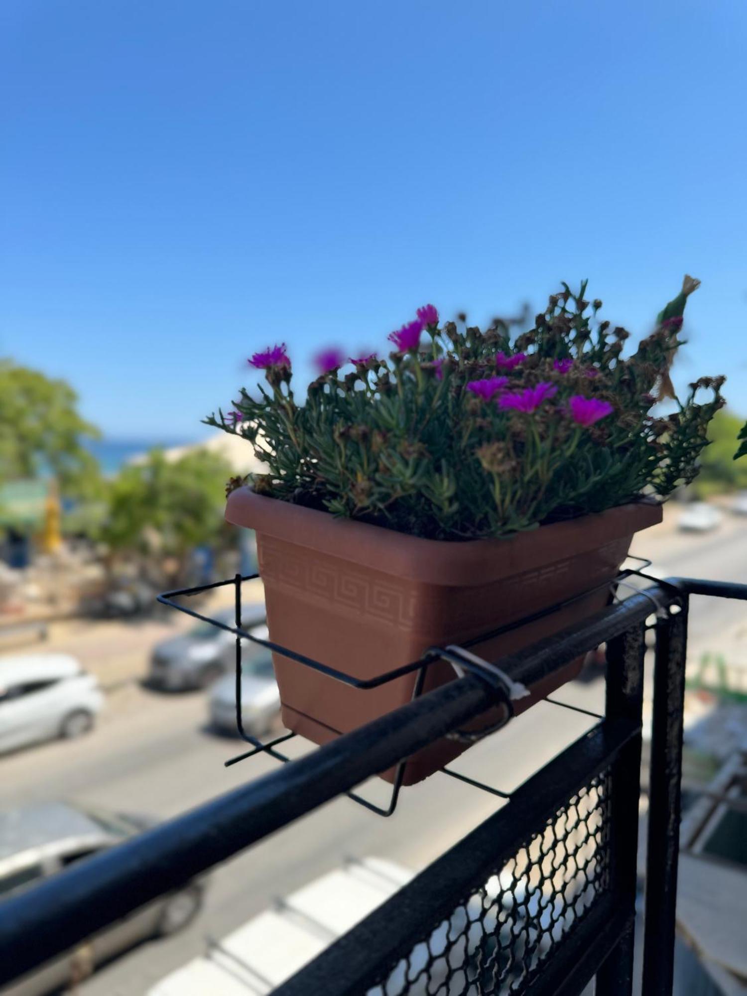 Hotel Domus Fysi Palermo Esterno foto